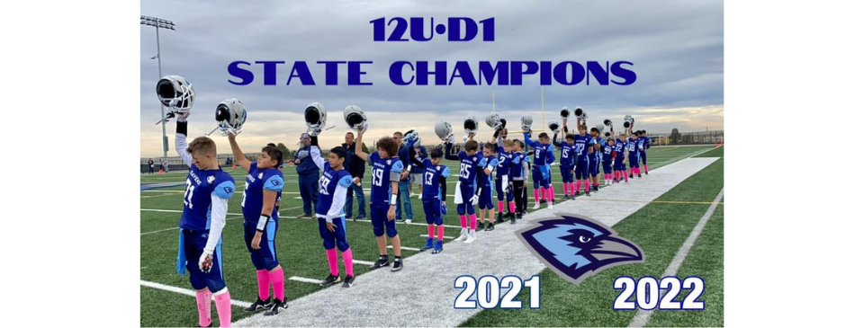 2021 12u D1 Champs